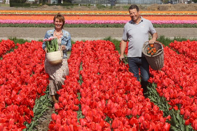 Tour to Keukenhof, Tulip Farm and Windmill Cruise From Amsterdam - Tour Details