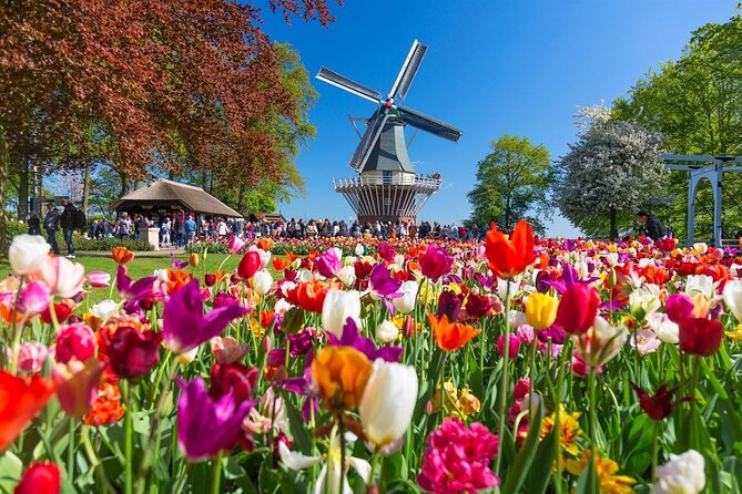 Tour to Keukenhof, Tulip Farm and Windmill Cruise From Amsterdam - Keukenhof Garden Visit
