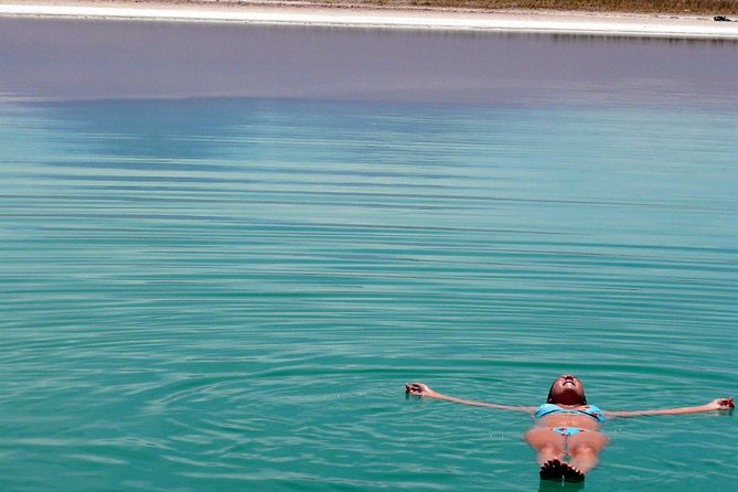 Tour to Laguna Cejar and Tibenquinche - Meeting and Pickup