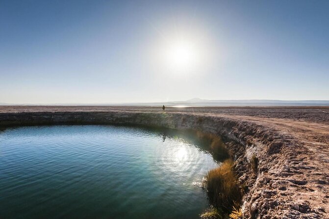 Tour to Laguna Cejar, Ojos Del Salar and Laguna Tebinquiche - Key Points