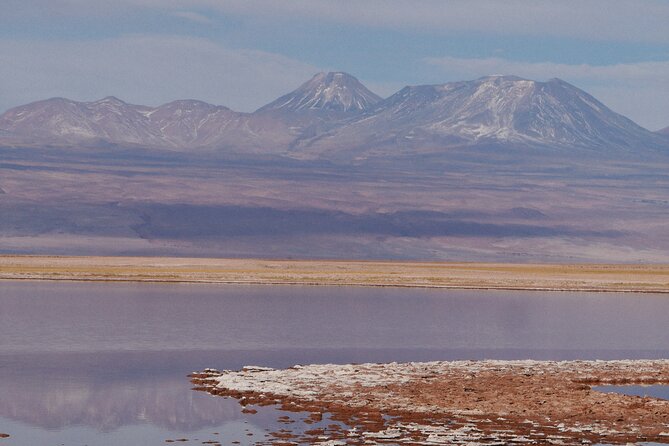 Tour to Laguna Cejar, Ojos Del Salar and Laguna Tebinquiche - Visiting Laguna Cejar