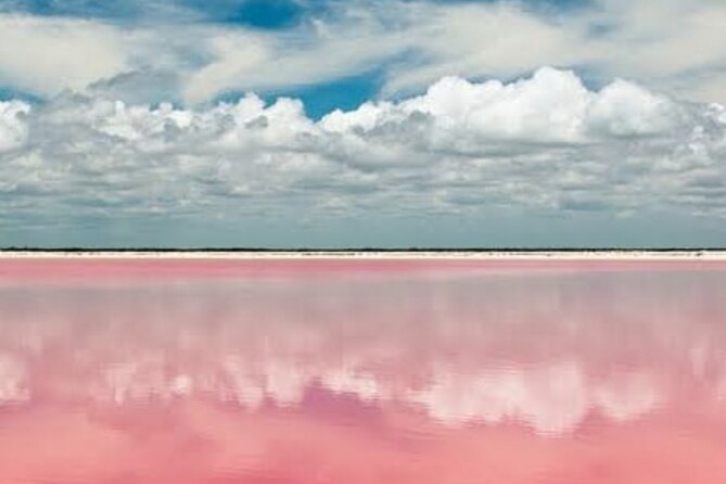 Tour to Las Coloradas and Río Lagartos From Mérida - Key Points