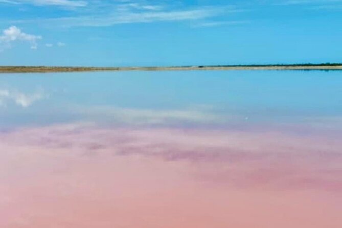 Tour to Las Coloradas and Río Lagartos From Mérida - Operational Notes and Recommendations