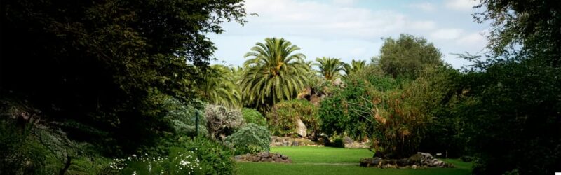 Tour to Las Palmas De Gran Canaria: History and Culture - Itinerary and Highlights