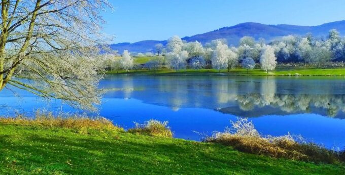 Tour to Lotus Lake/Boat Tour/Lotus Flowers/Birds - Cancellation and Refund Policy