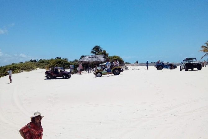 Tour to Mangue Seco, Leaving Salvador-Bahia - Transportation and Meeting