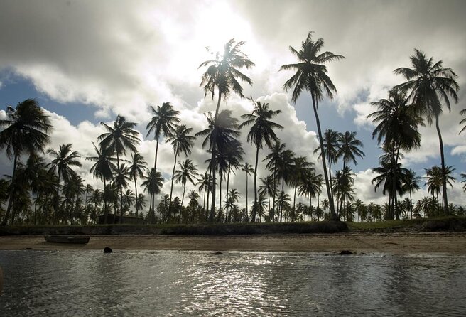 Tour to Mangue Seco With Boat Ride - Exploring the Regions Beauty