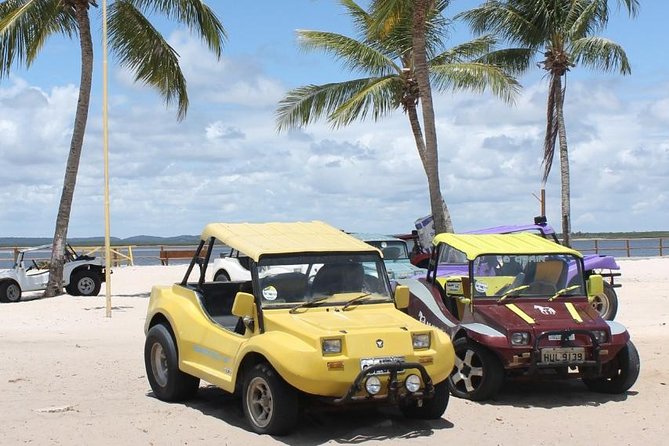Tour to Mangue Seco With Boat Ride - Tour Itinerary