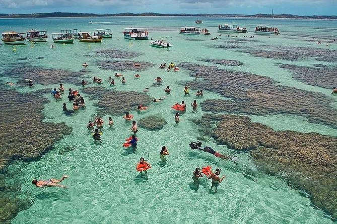 Tour to Maragogi From Maceió, Including Natural Pools by Edvantur - Key Points