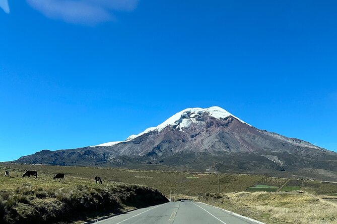 Tour to Mindo, Private and Shared - Key Points
