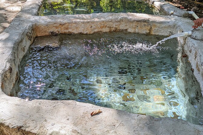 Tour to Nuevo Ixtlan Hot Springs With BBQ - Whats Included in the Tour