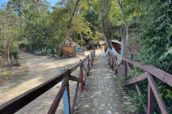 Tour to Nuevo Ixtlan Hot Springs With BBQ - Additional Services Offered