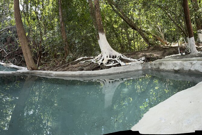 Tour to Nuevo Ixtlan Hot Springs With BBQ - Preparing for the Tour