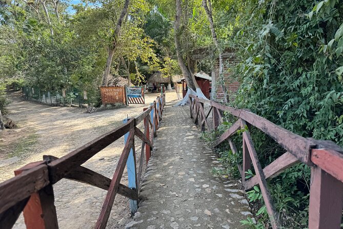 Tour to Nuevo Ixtlan Hot Springs With BBQ - Key Highlights of the Tour