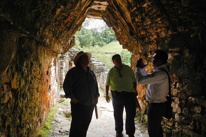 Tour to Palenque and Misol Ha Waterfall - Reviews and Feedback
