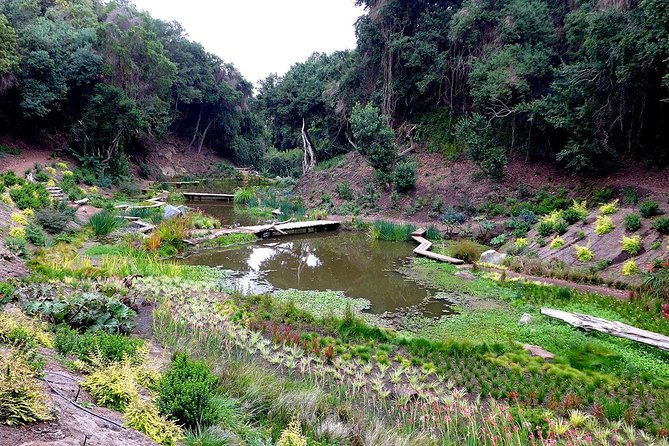 Tour to Parque Tricao + Aviary and Pomaire Full Day From Santiago - Meeting and Pickup