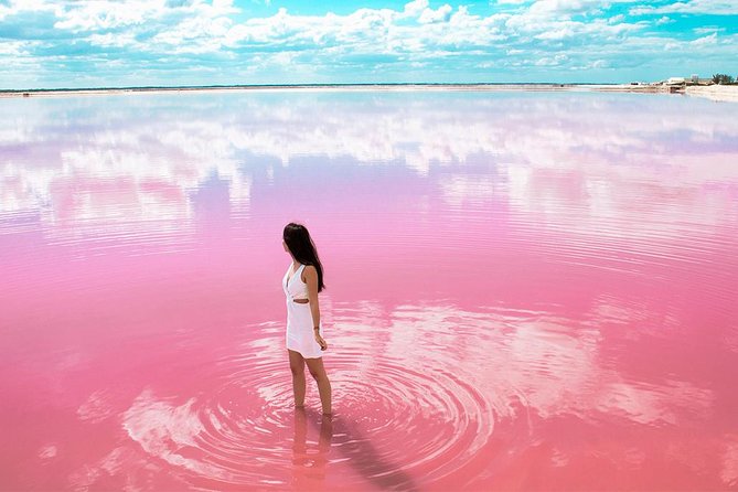 Tour to Pink Lake and Rio Lagartos From Cancun - Tour Highlights