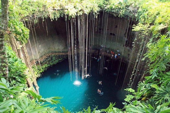 Tour to Pink Lake and Rio Lagartos From Cancun - Pricing and Booking Details