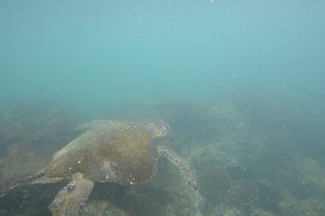 Tour to Pinzón + Las Palmas - Inclusions