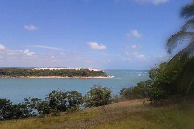 Tour To Pipa Beach From Natal - Tour Overview