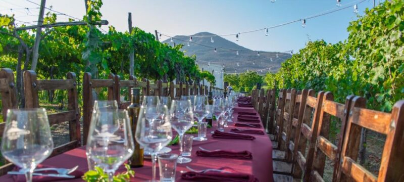 Tour to Pompeii, Wine Tasting at the Cellars From Positano - Itinerary Details