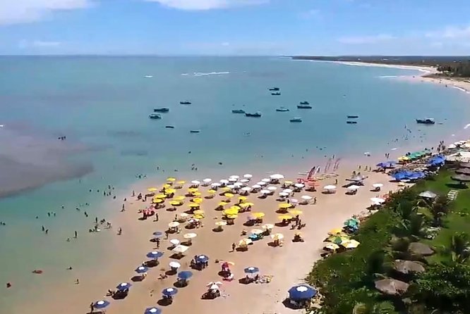 Tour to Praia Do Forte and Guarajuba - Pricing and Cancellation