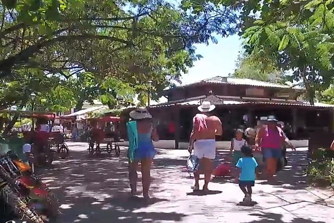 Tour to Praia Do Forte and Guarajuba - Getting to the Tour