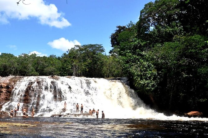 Tour to Presidente Figueiredo Waterfalls - Health and Safety Considerations
