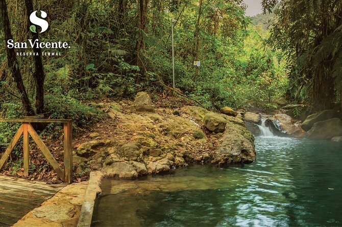 Tour to San Vicente Hot Springs From Pereira, Armenia or Salento - Experience the San Vicente Hot Springs