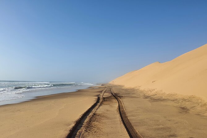 Tour to Sandwich Harbour - Exciting Dune Driving