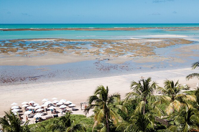 Tour to São Miguel Dos Milagres Beach With Departure From Maragogi - Accessibility and Pricing