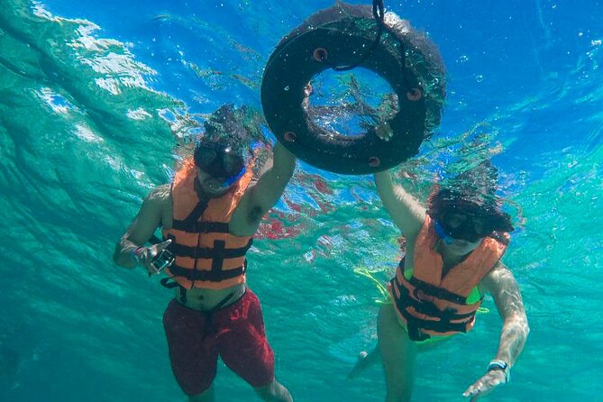 Tour to Swim With Turtles - Important Booking Information