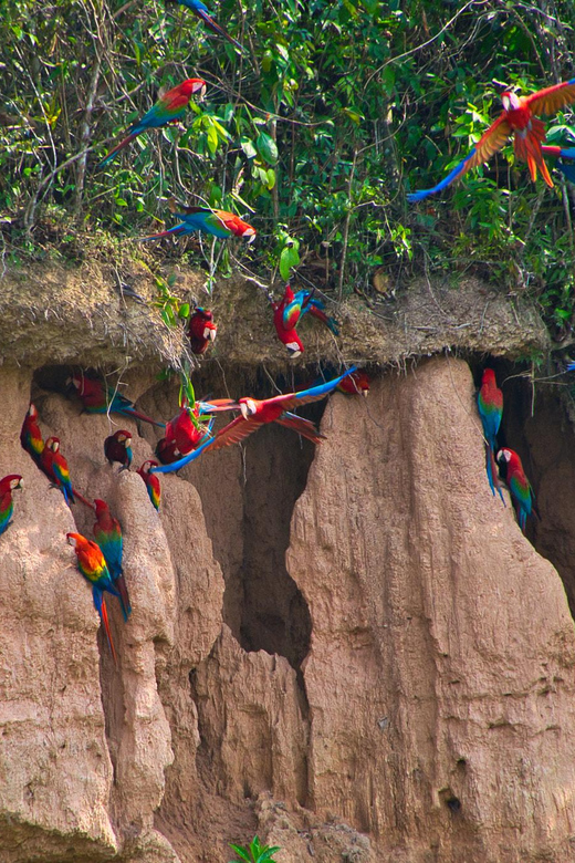 Tour to Tambopata Jungle 2Days + Lodge + Food - Frequently Asked Questions