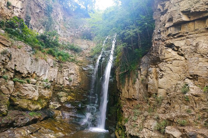Tour to Tbilisi National Park (Zedazeni, Sabaduri Forest, Sioni Lake, Martkopi) - Accessibility and Participation