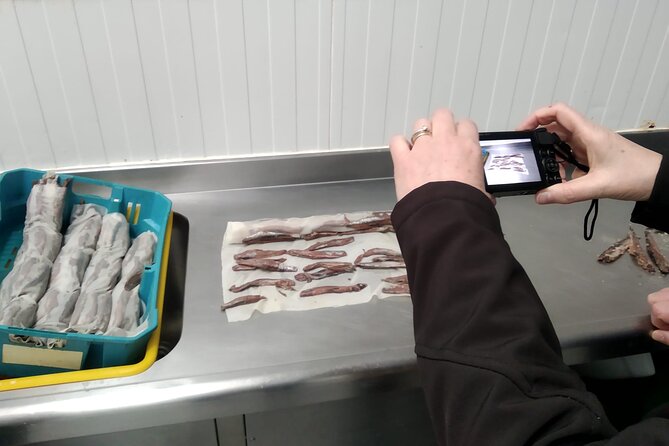 Tour to the Anchovies Factory and Santoña Marshes With Tasting - Additional Information