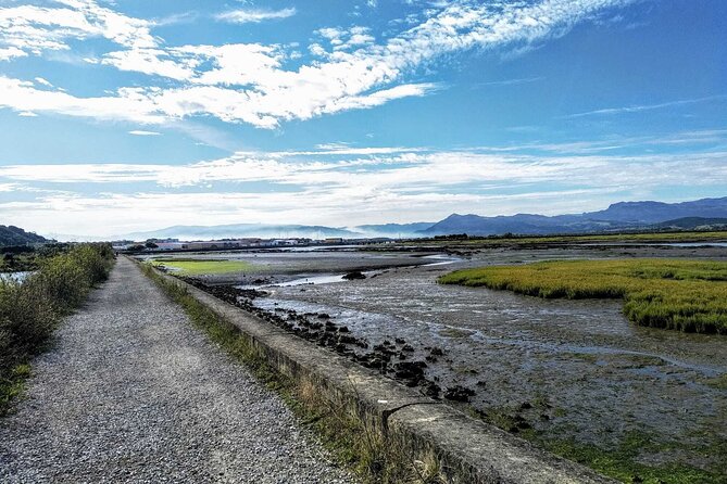 Tour to the Anchovies Factory and Santoña Marshes With Tasting - Cancellation Policy