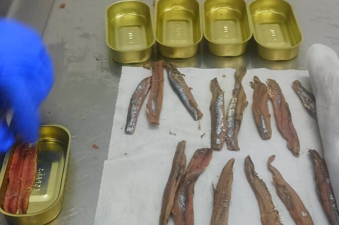 Tour to the Anchovies Factory and Santoña Marshes With Tasting - Customer Reviews