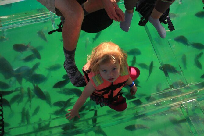 Tour to the Arch of Cabo San Lucas in a transparent glass boat - The Sum Up: Who Is This Tour For?