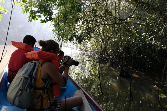 Tour to the Canals in Tortuguero National Park - Meeting Point and Logistics