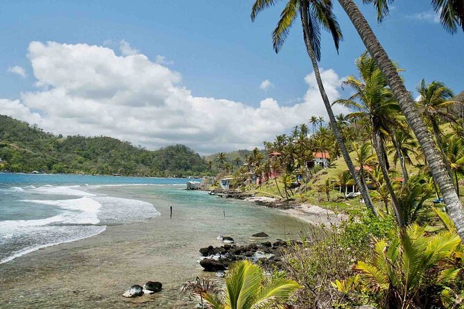Tour to the Caribbean Coast: 3 Islands: Grande, Mamey and Monkey Plus Love Tunnel, Including Historic Portobelo Fort - Important Notes