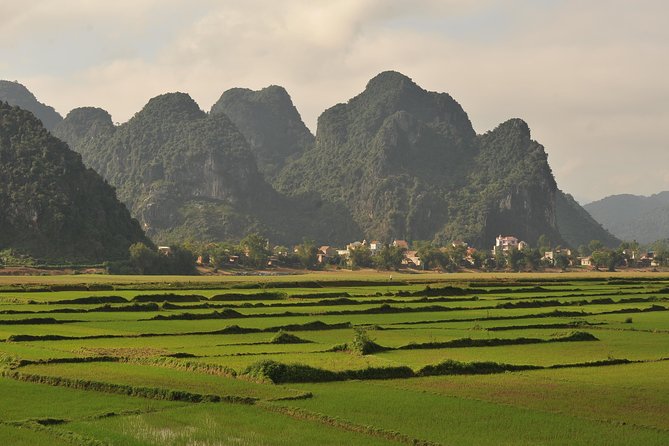 Tour to the Caves ONE DAY Tour to Phong Nha and Paradise Caves - Inclusions