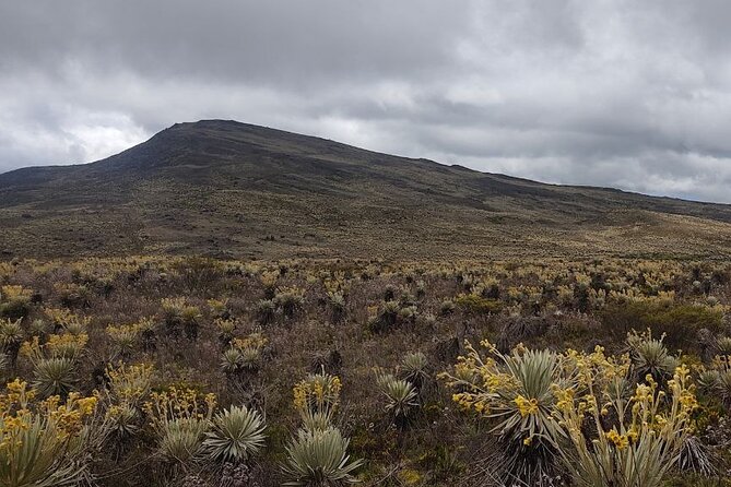 Tour to the Magical Moorland of Sumapaz - Birdwatching Unique Species - Key Points