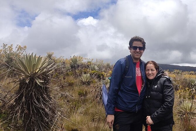 Tour to the Magical Moorland of Sumapaz - Birdwatching Unique Species - Birdwatching in the Sumapaz