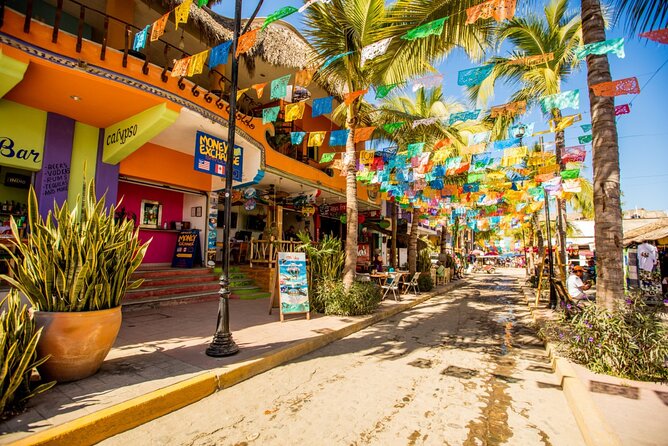 Tour to the Magical Town of Sayulita and San Pancho From Pto Vallarta - Inclusions and Exclusions