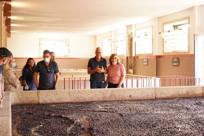 Tour to the Palace of Mateus and the Douro - Guided Tour of the Quinta