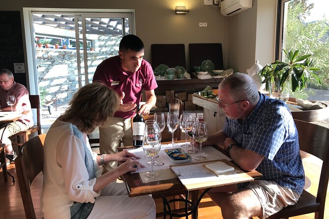 Tour to the Palace of Mateus and the Douro - Wine and Port Tasting Experience