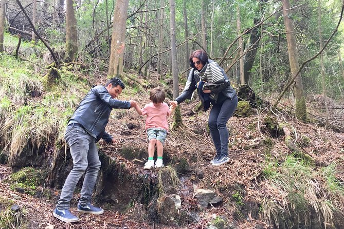 Tour to the Waterfalls in 4x4 Full Day - Meeting and End Points