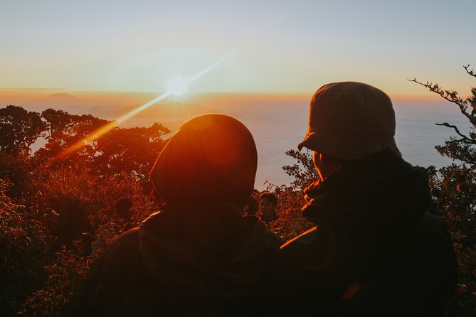 Tour to Tierra Del Fuego National Park From Ushuaia - Customer Feedback and Insights