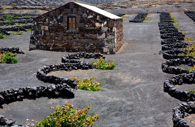 Tour to Timanfaya, La Geria and Laguna Verde for Cruise Passengers - Meeting and Pickup Details