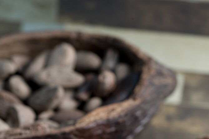Tour to Uxmal + Choco Story Chocolate Museum - Health and Safety Guidelines